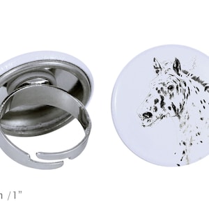 Ring with a horse - Noriker