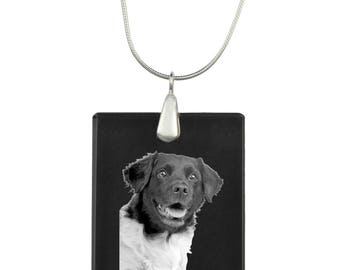 Stabyhoun,  Dog Crystal Pendant, SIlver Necklace 925, High Quality, Exceptional Gift, Collection!