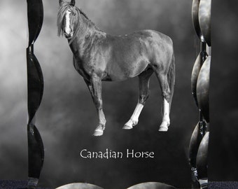 Canadian horse ,  Cubic crystal with horse, souvenir, decoration, limited edition, Collection