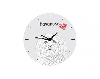 Havanese, Free standing MDF floor clock with an image of a dog.