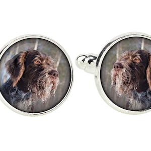 May include: A pair of silver cufflinks with a round, clear glass design featuring a close-up image of a brown and white dog with a scruffy beard.