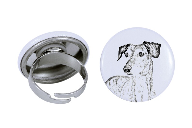 Ring with a dog Sloughi