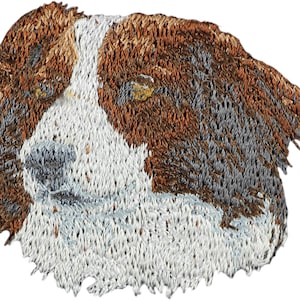 Kooikerhondje - Bordado con una imagen de un perro de raza.