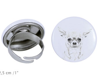 Ring with a dog - Chihuahua