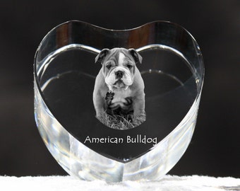 American Bulldog, crystal heart with dog, souvenir, decoration, limited edition, Collection