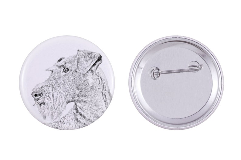 Irish terrier Buttons with a dog