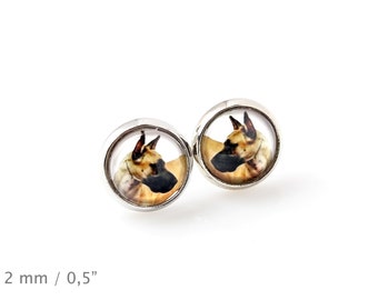 Great Dane. Pet in your ear. Earrings. Photojewelry. Handmade.