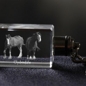 Clydesdale, Horse Crystal Keyring, Keychain, High Quality, Exceptional Gift