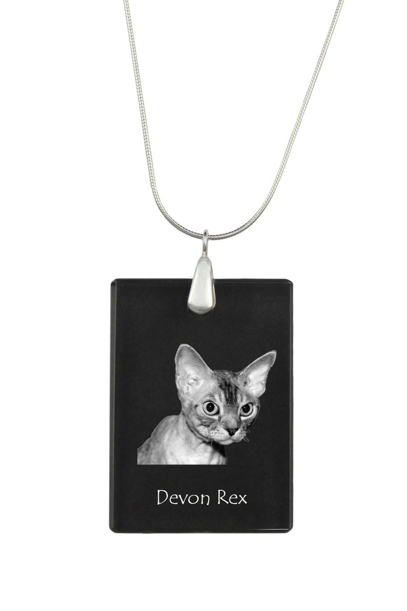 Collection! High Quality Exceptional Gift Devon rex SIlver Necklace 925 cat Crystal Pendant