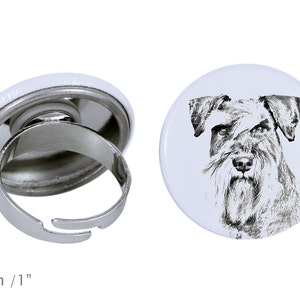 Ring with a dog - Schnauzer