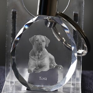 Tosa   , Dog Crystal Keyring, Keychain, High Quality, Exceptional Gift . Dog keyring for dog lovers