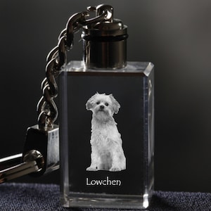 Löwchen, Dog Crystal Keyring, Keychain, High Quality, Exceptional Gift . Dog keyring for dog lovers