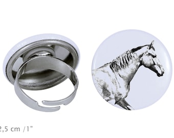 Ring with a horse - Selle français