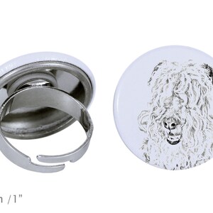 Ring with a dog- Lakeland Terrier