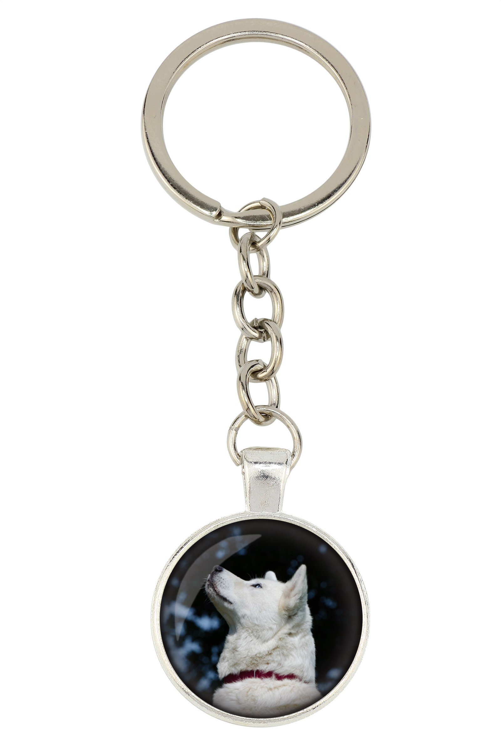 Akita Inu. Keyring Keychain for Dog Lovers. Photo Jewellery. Etsy UK