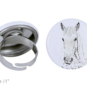 Ring with a horse - Camargue horse