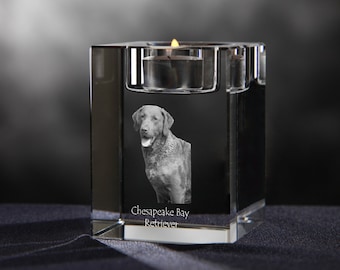 Chesapeake Bay retriever - crystal candlestick with dog, souvenir, decoration, limited edition, Collection