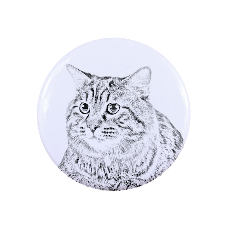 Kurilian Bobtail longhaired Ring with a cat