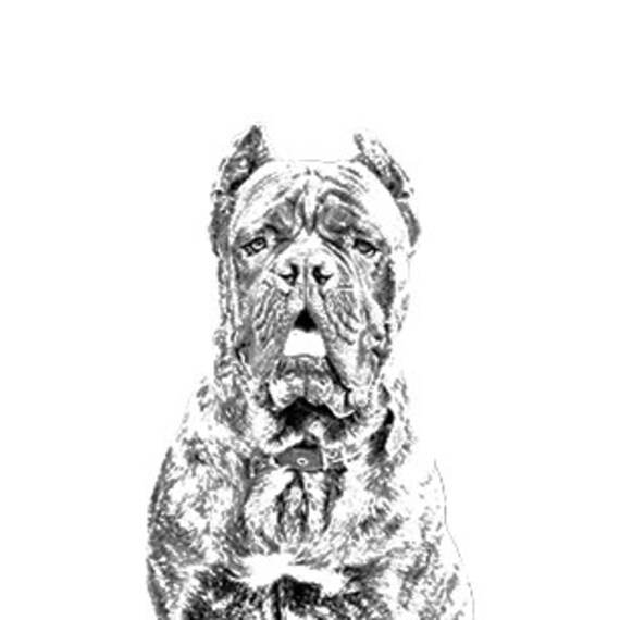 Cane Corso Italian Mastiff New Collection Of Earrings With Images Of Purebred Dogs Unique Gift