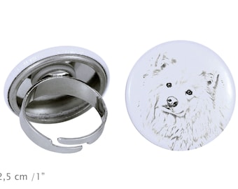 Ring with a dog- Finnish Lapphund