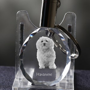Havanese, Dog Crystal Keyring, Keychain, High Quality, Exceptional Gift . Dog keyring for dog lovers