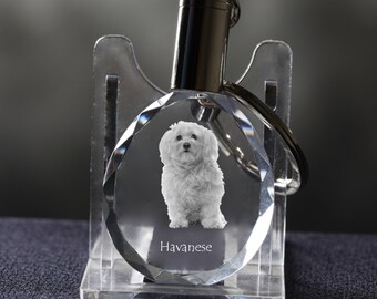 Havanese, Dog Crystal Keyring, Keychain, High Quality, Exceptional Gift . Dog keyring for dog lovers