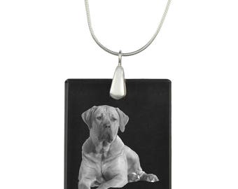 Tosa ,  Dog Crystal Pendant, SIlver Necklace 925, High Quality, Exceptional Gift, Collection!