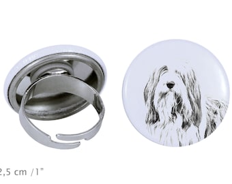 Ring with a dog - Border Collie