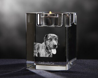 Catahoula Cur - crystal candlestick with dog, souvenir, decoration, limited edition, Collection