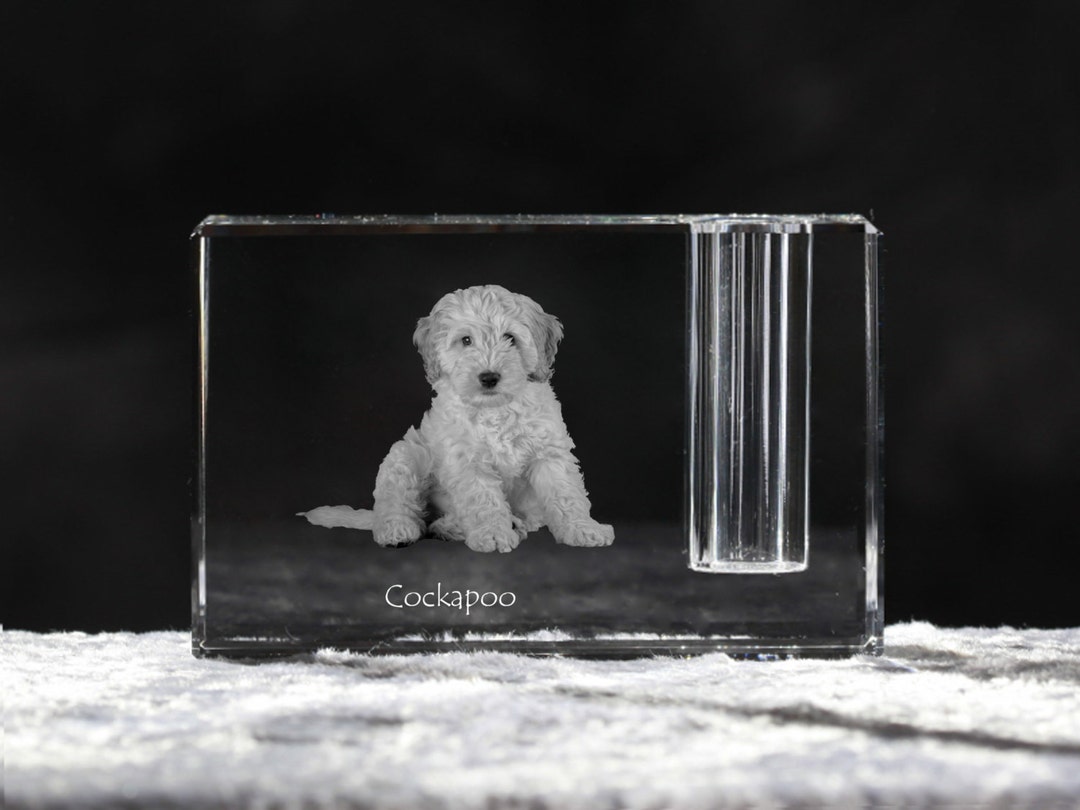 Cockapoo, Crystal Pen Holder With Dog, Souvenir, Decoration, Limited ...