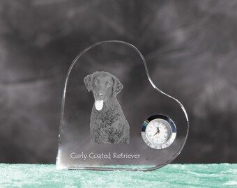 Curly coated retriever- crystal clock in the shape of a heart with the image of a pure-bred dog.