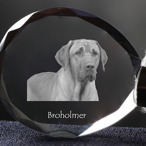 Broholmer , Dog Crystal Keyring, Keychain, High Quality, Exceptional Gift . Dog keyring for dog lovers