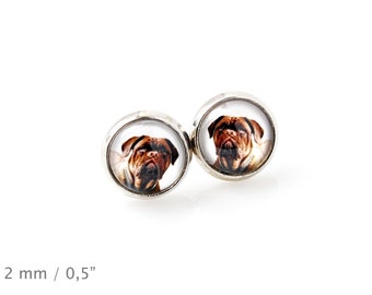 French Mastiff. Pet in your ear. Earrings. Photojewelry. Handmade.