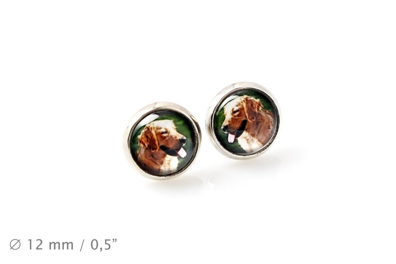 Handmade UK Earrings Pet in your ear Weimaraner Photojewelry