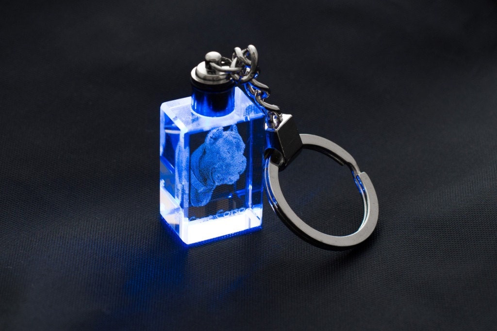 Cane corso deals keychain