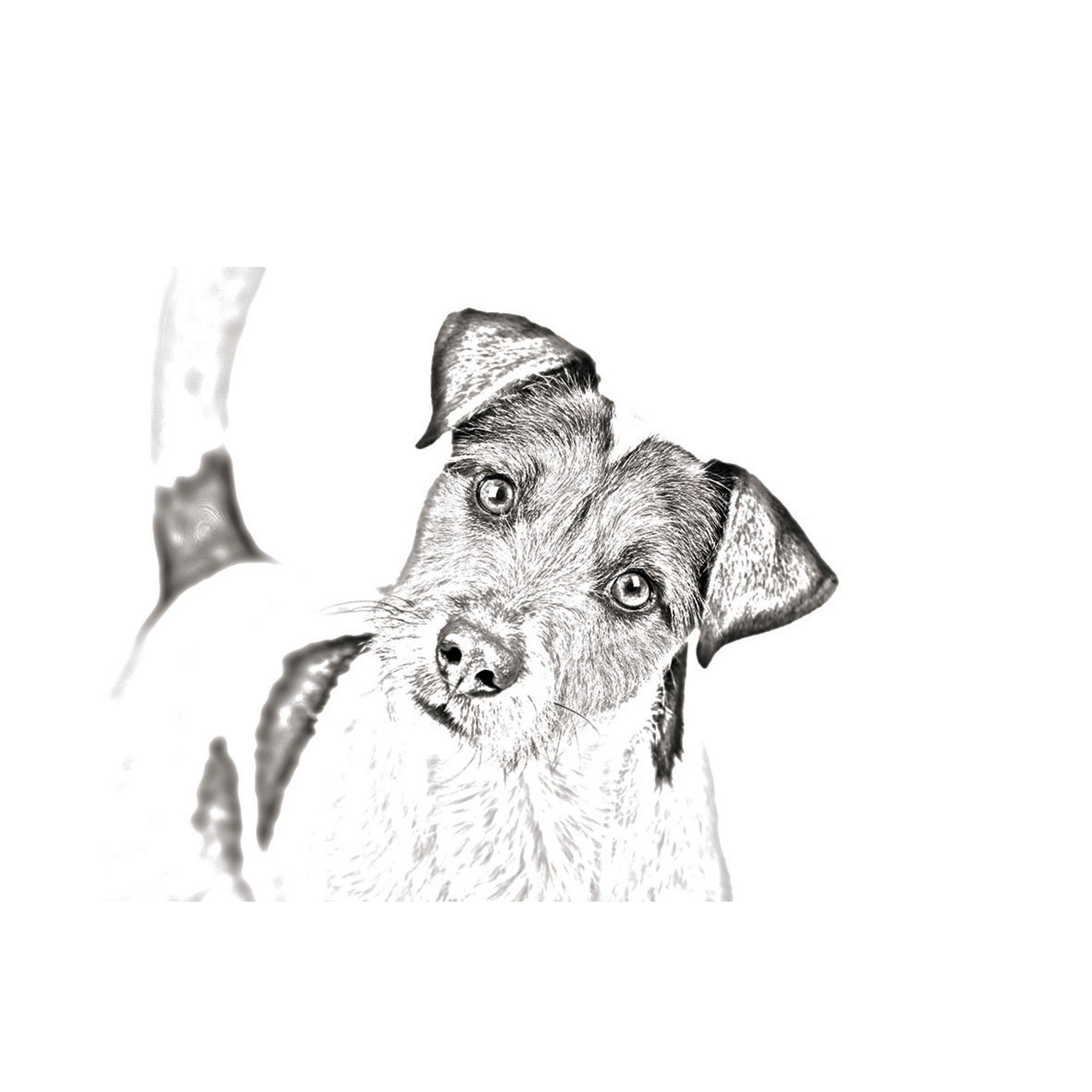 Parson Russell terrier NEW collection of necklaces with Etsy