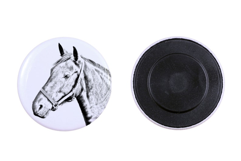 Magnet with a horse Danish Warmblood