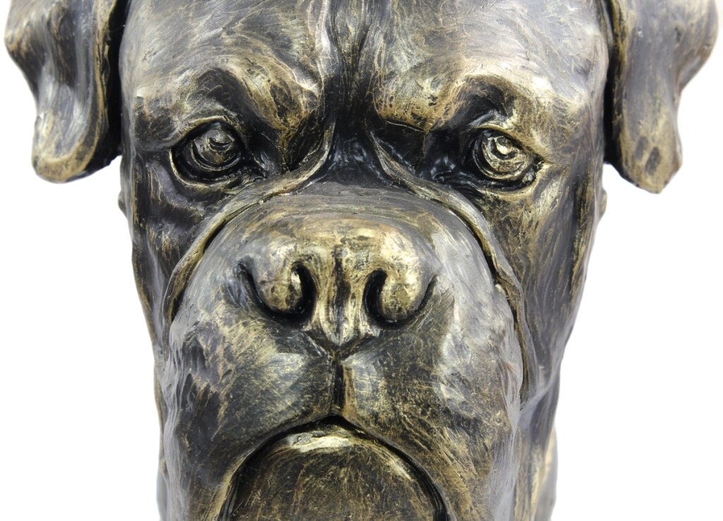 Boxer uncropped Dog Big Head Statue Limited Edition Etsy