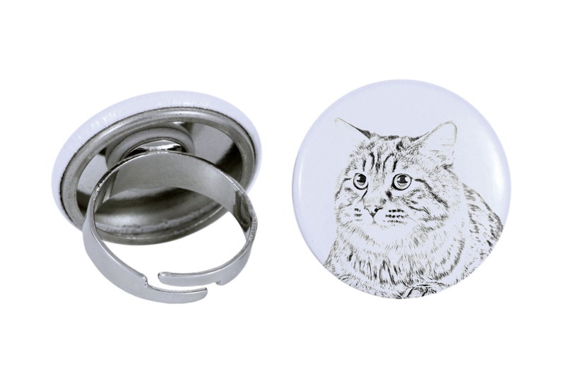 Kurilian Bobtail longhaired Ring with a cat