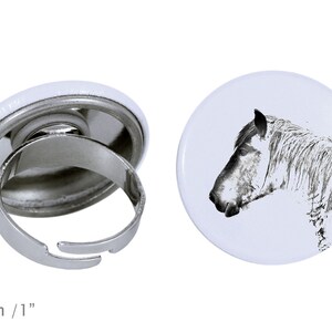 Ring with a horse - Belgian horse, Belgian draft horse