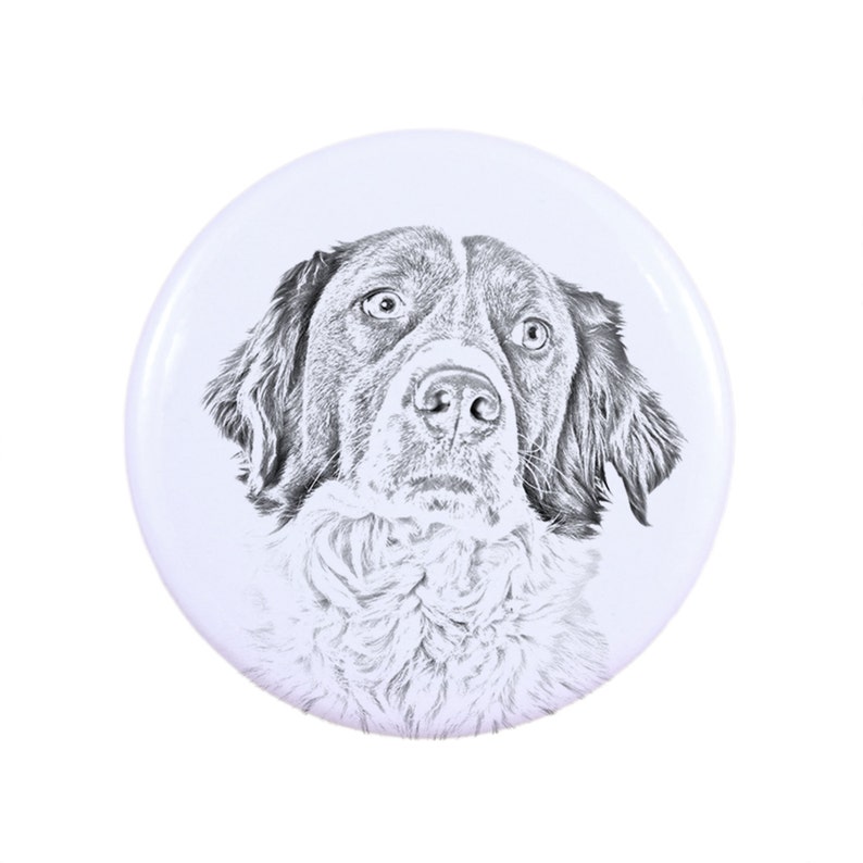 French Spaniel Magnet with a dog