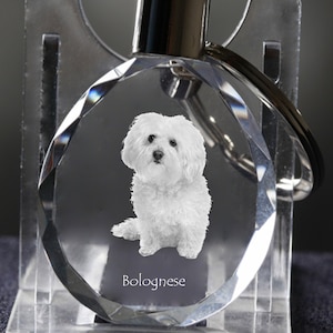 Bolognese  , Dog Crystal Keyring, Keychain, High Quality, Exceptional Gift . Dog keyring for dog lovers