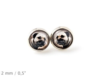 Border Terrier. Pet in your ear. Earrings. Photojewelry. Handmade.