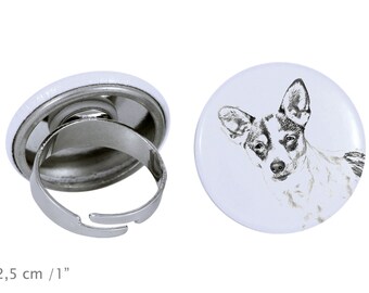 Ring with a dog- Rat Terrier