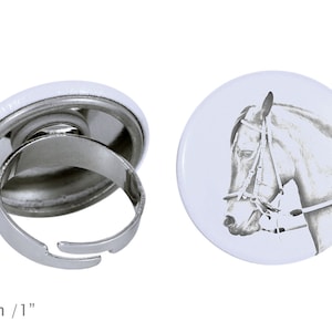 Ring with a horse - Paso Fino