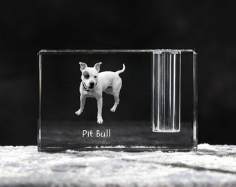 American Pit Bull Terrier , crystal pen holder with dog, souvenir, decoration, limited edition, Collection