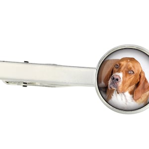 May include: A silver tie clip with a round, clear glass insert featuring a photo of a brown and white dog with a white background.