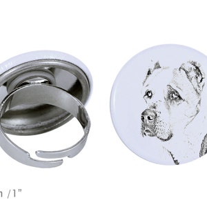 Ring with a dog - Central Asian Shepherd Dog
