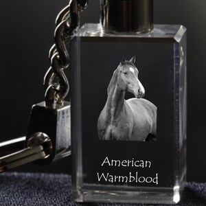 American Warmblood , Horse Crystal Keyring, Keychain, High Quality, Exceptional Gift