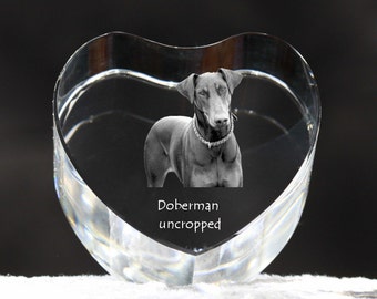 Dobermann, crystal heart with dog, souvenir, decoration, limited edition, Collection